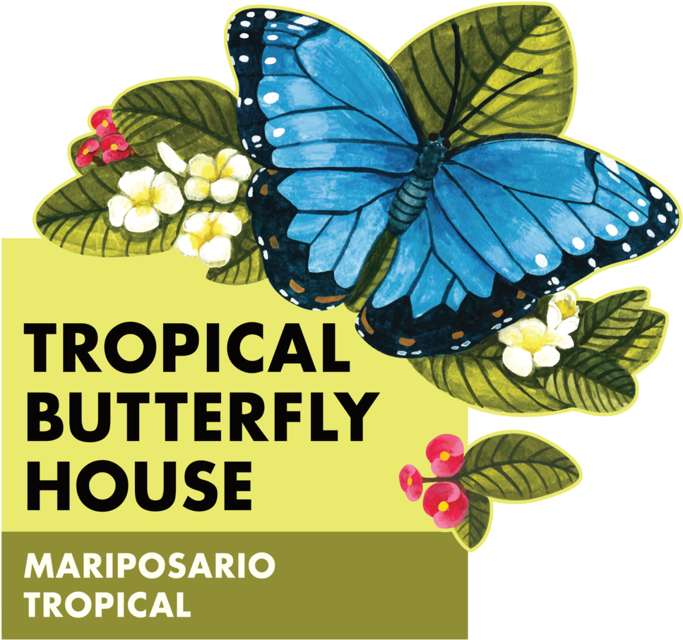 Butterfly Main Sign (1000x954), Png Download
