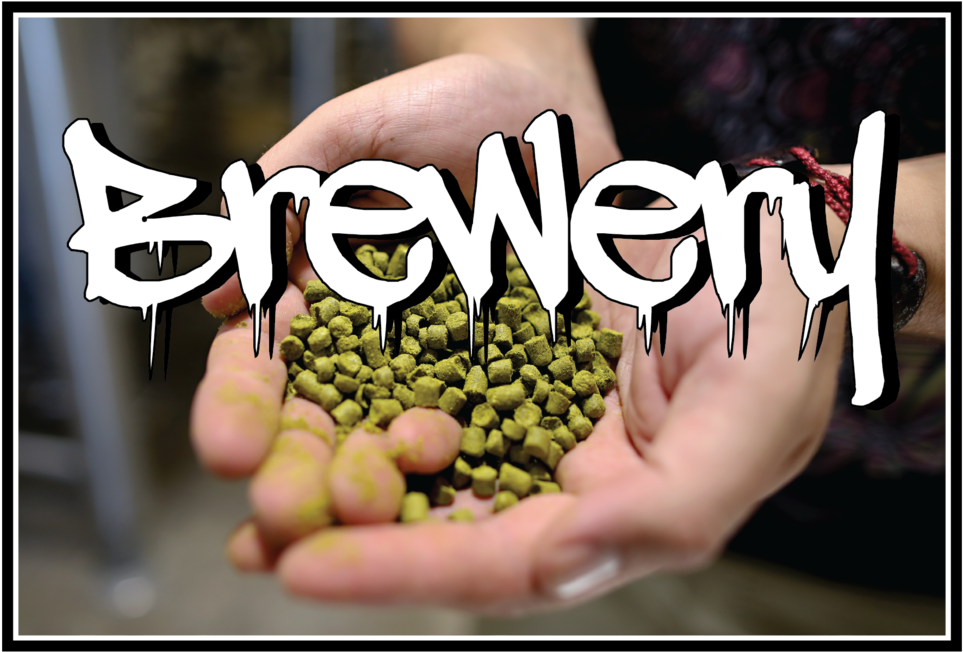 Website Homepage Buttons-05 (1000x693), Png Download