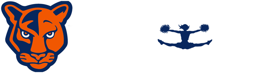 Cheerleading Is A Yearlong Commitment - Silhouette (1100x275), Png Download