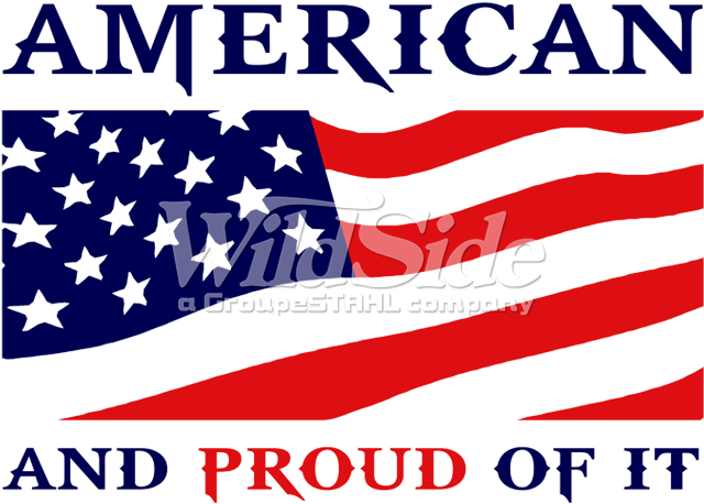 American And Proud Of It With Flag - Family Day Shirt, Patriotic Shirt For Men, Flag Shirt (675x675), Png Download