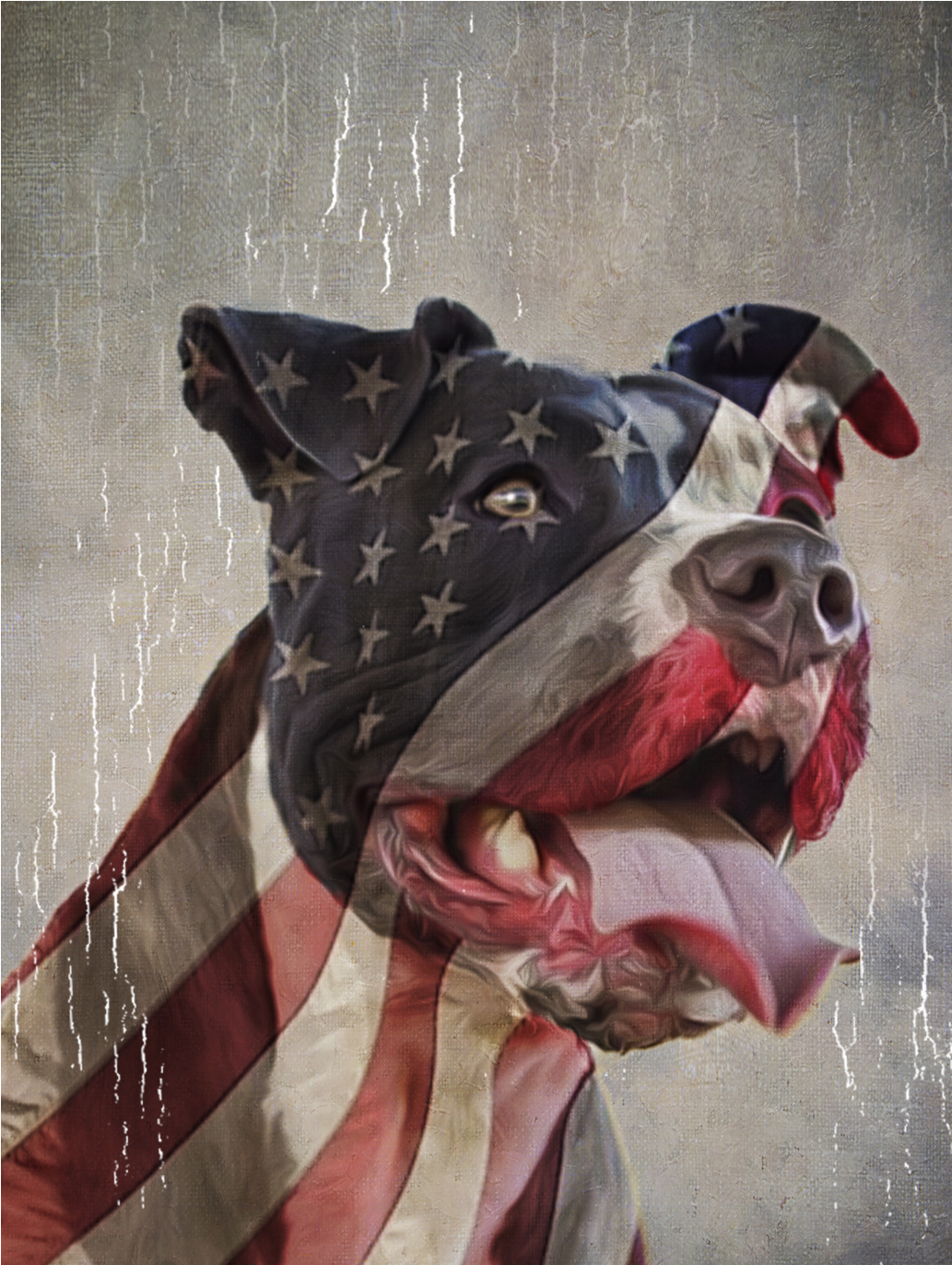 La Maxpa Printed Building Men T Shirt Patriotic Paw - Pit Bull Flag Shirt (1200x1371), Png Download
