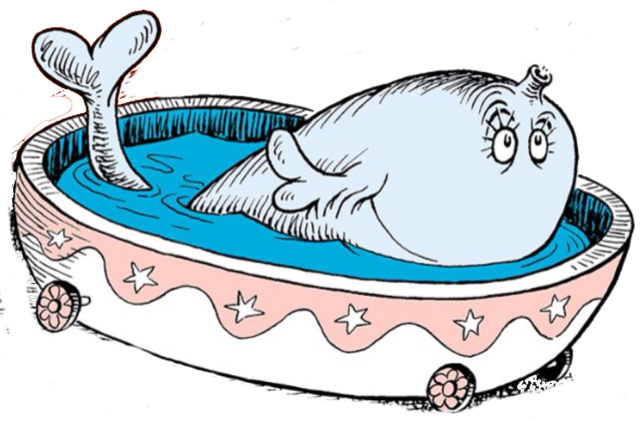 File - Whale - Png - Whales (640x421), Png Download