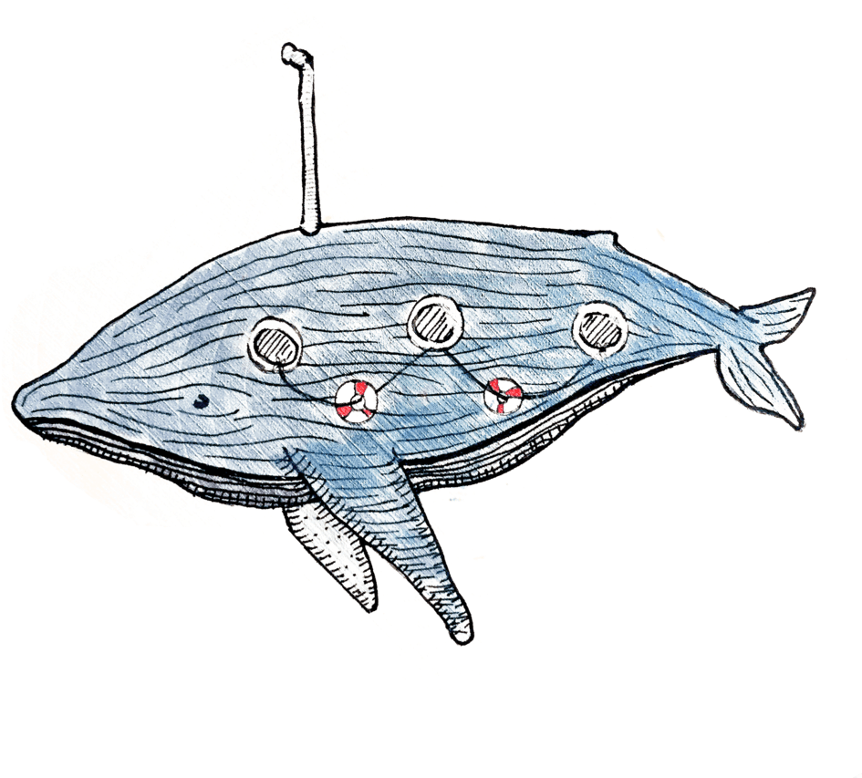 Whale - Shark (1000x1000), Png Download