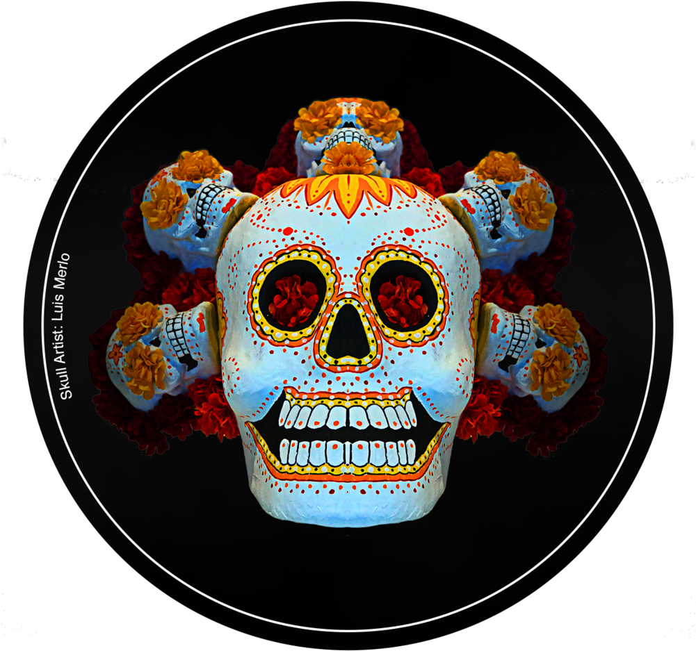 Mr Ignite Redcoastersidea - Skull (1000x1000), Png Download