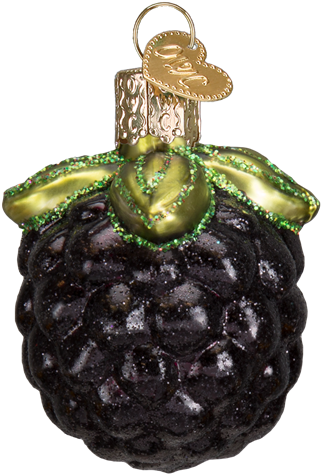 Blackberry Glass Ornament - Old World Christmas Pacific Blue Tang Tropical Fish (516x516), Png Download