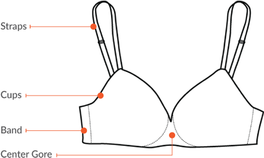 Does This Bra Fit Here's How To Know - Brassiere (600x374), Png Download