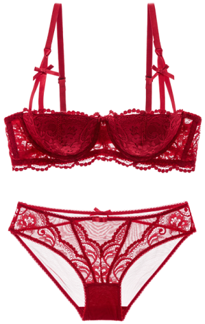 See-through Embroidered Bra Set - Undergarment (360x480), Png Download