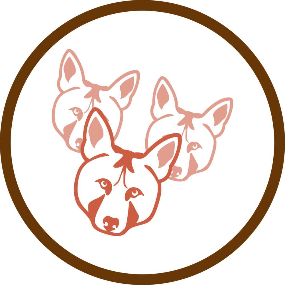 Research Related To Red Wolf Population & Survival - Ppp (1000x1000), Png Download
