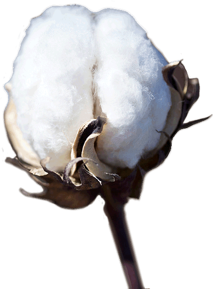 Sublayer (457x574), Png Download