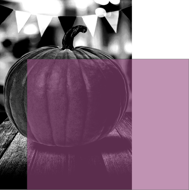 Enter Image Description Here - Pumpkin (613x615), Png Download