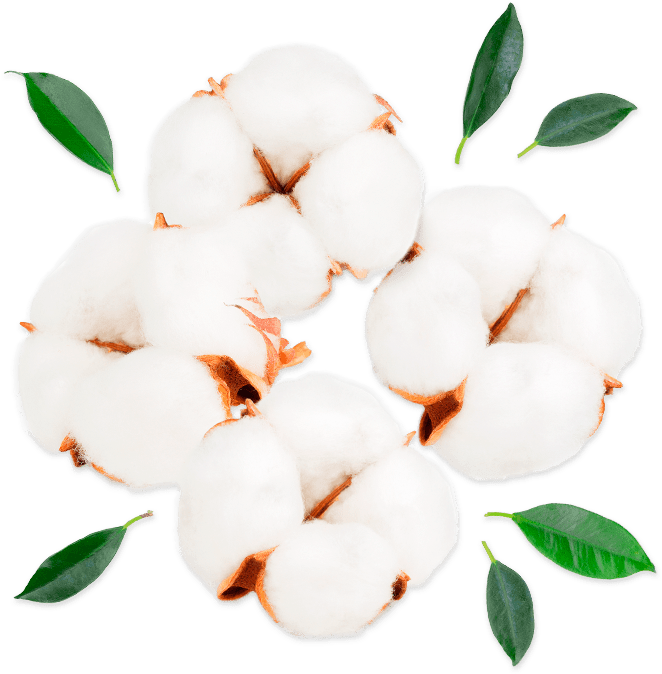 Cotton - Car (800x800), Png Download