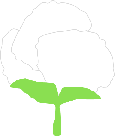 File - Cotton - Szapka (371x441), Png Download