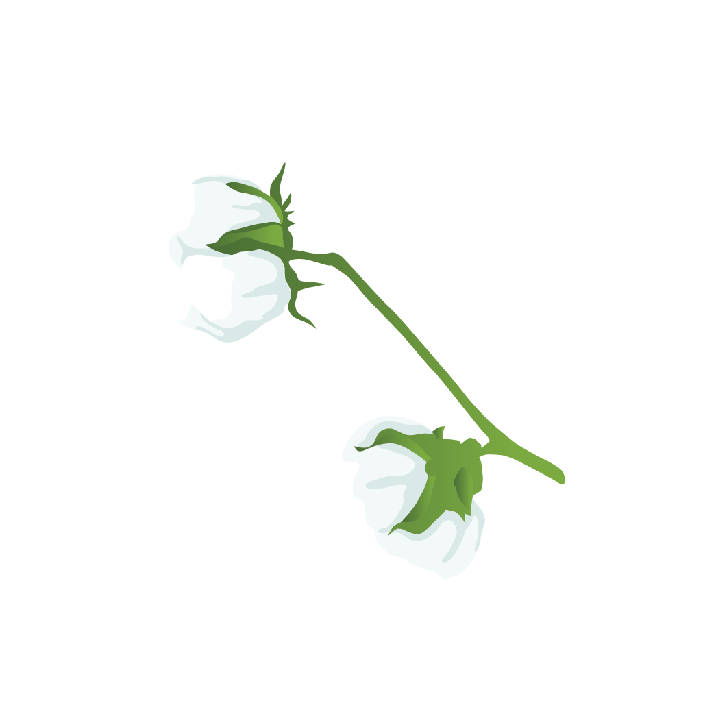 Cotton Value Chain Comprehensive Agriculture And Rural (1250x1250), Png Download