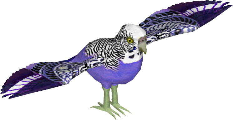 Budgie 10 - Macaw (744x744), Png Download