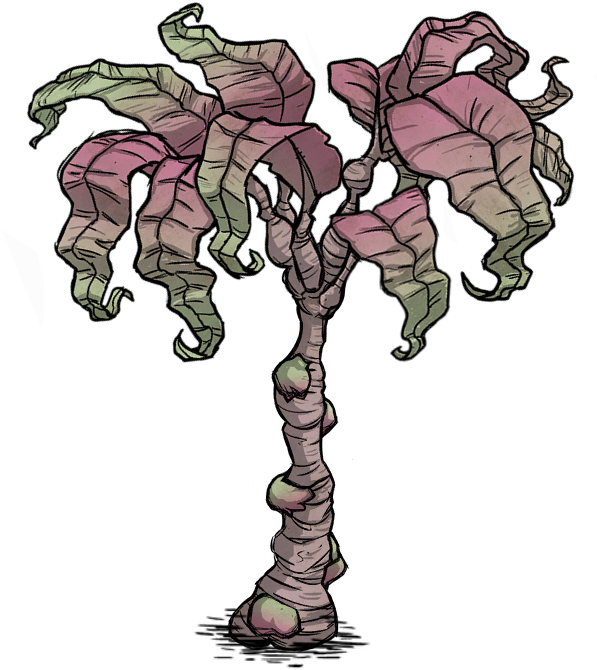 Rainforest Tree Rot - Gif (732x768), Png Download