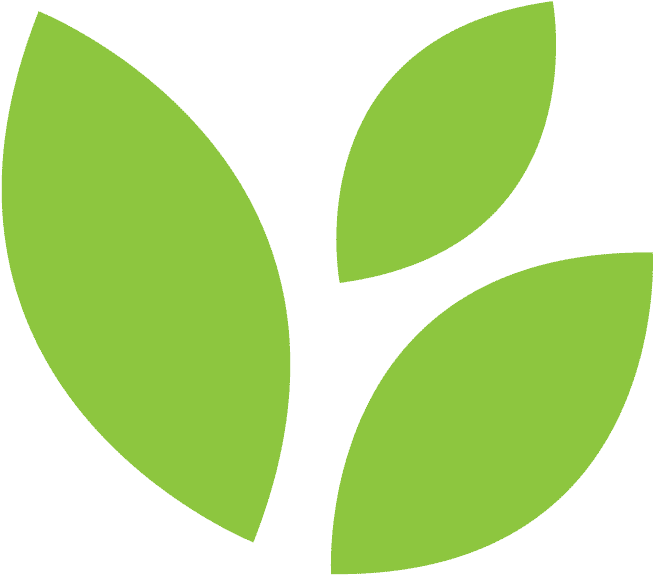 Learn About Rainforest Journey - Rainforest Icon (739x655), Png Download