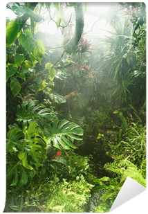 Papier Peint Style Foret Tropical (400x400), Png Download