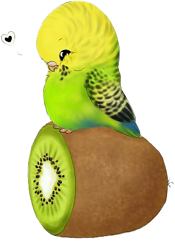 Report Abuse - Parrot (574x802), Png Download