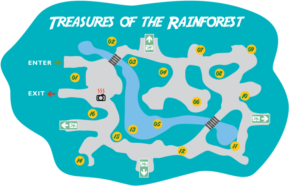 Treasures Of The Rainforest - Run Forest Run T Shirt (1000x660), Png Download