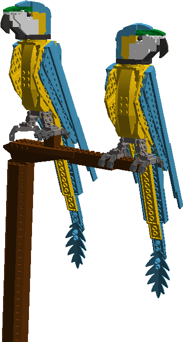 Red & Blue Macaws - Macaw (1114x672), Png Download