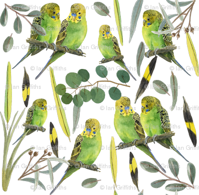 Budgies - Parrot (400x393), Png Download
