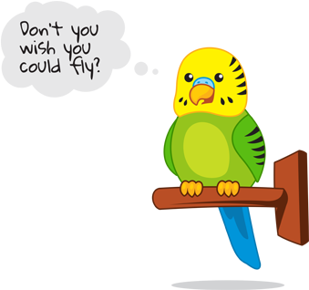 Clipart Graphic Of A Cartoon Black And White Cute Pet - Pet Bird Cartoon (392x323), Png Download