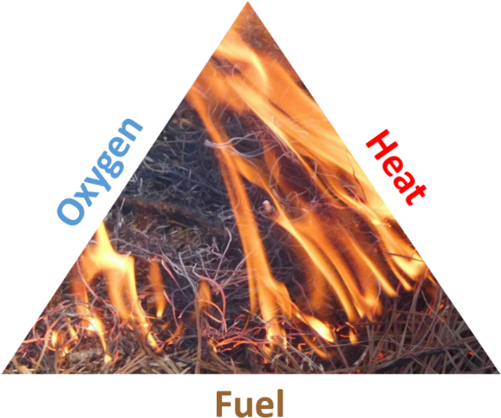 Fire Triangle - Alabama Cooperative Extension System (558x502), Png Download