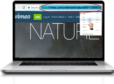 Vimeo Dt 1 - Vimeo (400x346), Png Download