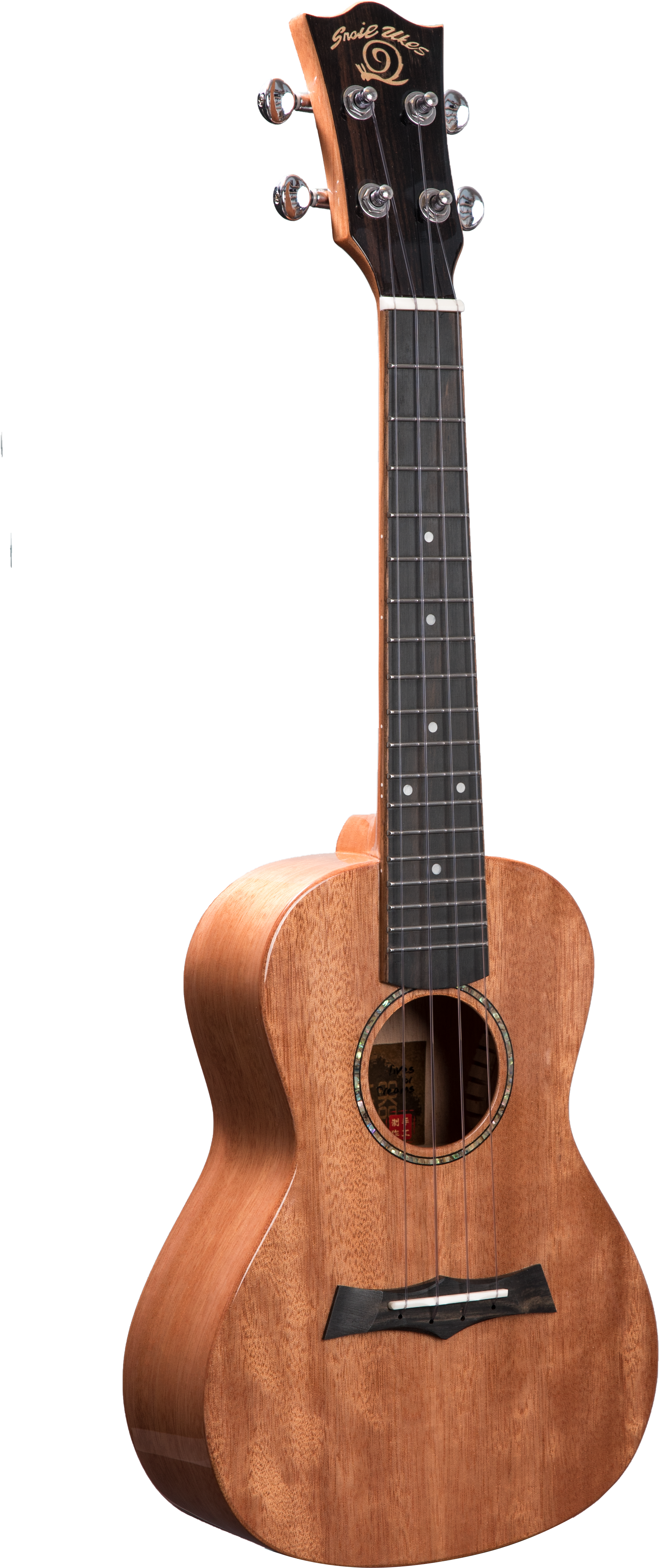 Snail Solid Mahogany Glossy Concert Ukulele (4016x6016), Png Download