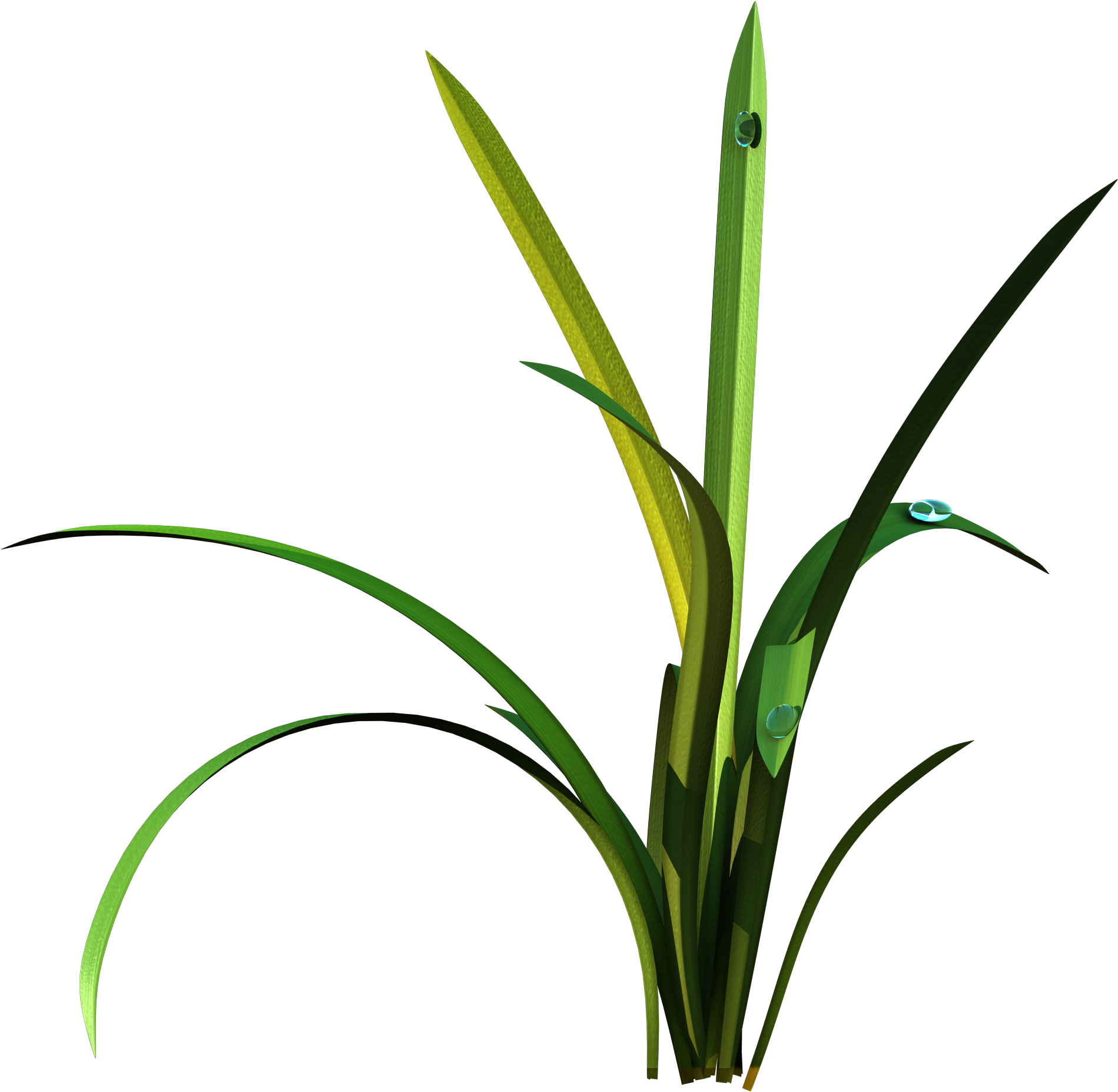 010 Preview10 - Grass (2048x2048), Png Download