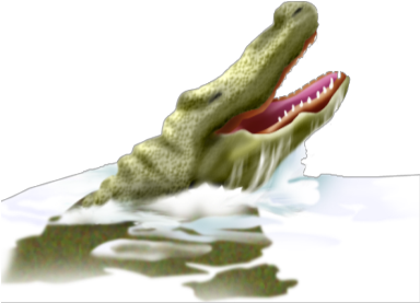 Alligator - Head - Nile Crocodile (420x312), Png Download
