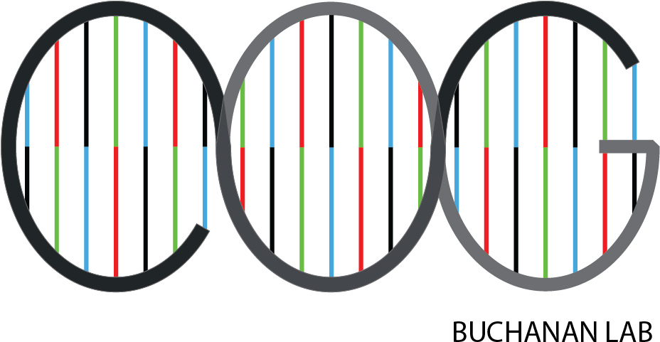 Colorectal Oncogenomics Group - House (975x525), Png Download