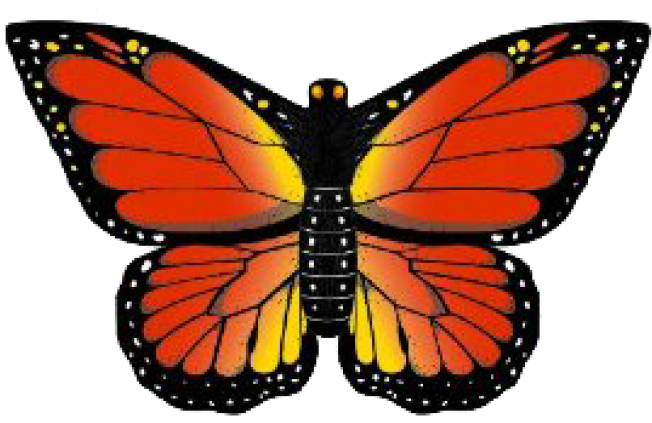 Monarch Butterfly Kite - Butterfly Kite (728x519), Png Download