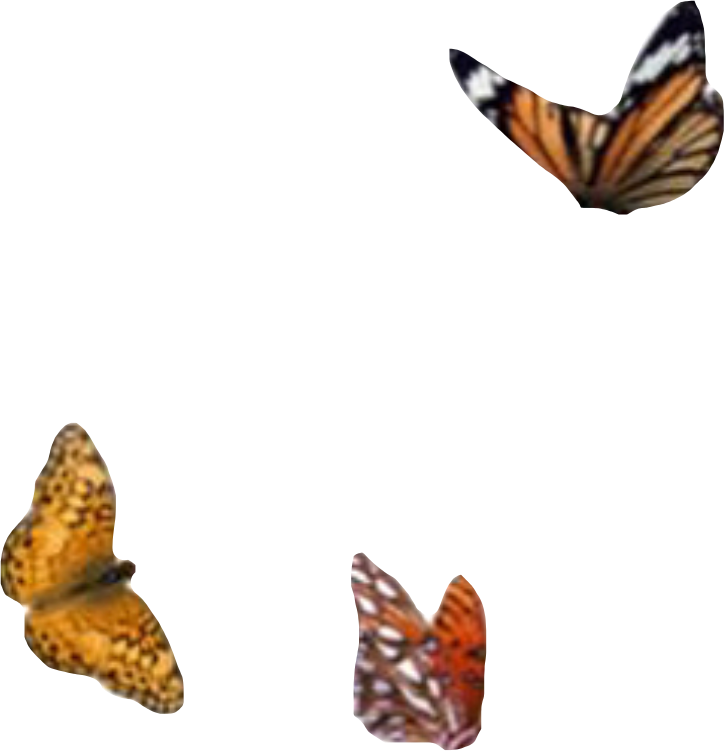 Png Aesthetic Moodboard Filler Butterfly Monarch Sticke - Picsart Photo Studio (724x751), Png Download