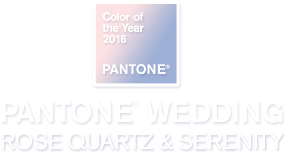 Lion (1200x400), Png Download