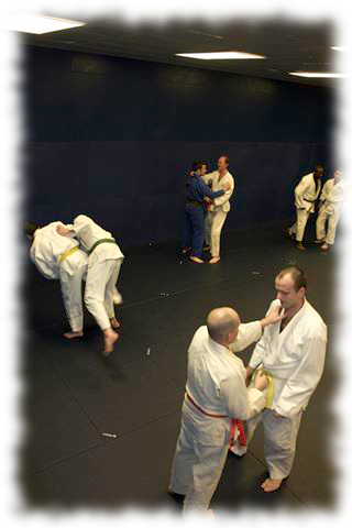 Training Times - Brazilian Jiu-jitsu (320x480), Png Download