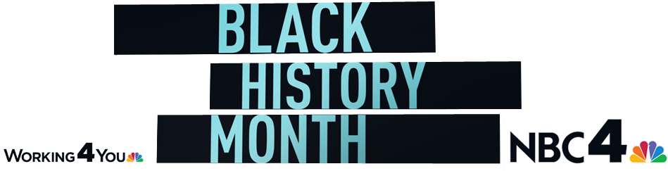 'green Book' For Black Travelers Was Powerful Tool - Poster (998x277), Png Download