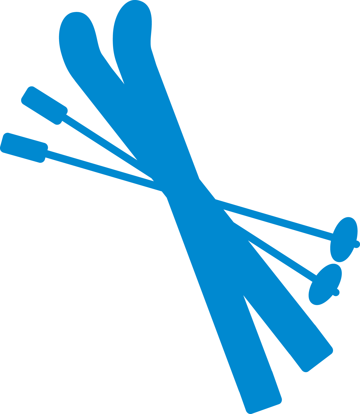 Registration For Our Youth Cross Country Ski Program - Crossed Skis And Poles (1482x1702), Png Download
