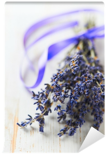 Poster (400x400), Png Download