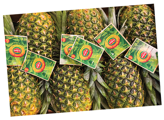 Pineapple Gold - Costa Rica Pineapple Brands (550x440), Png Download