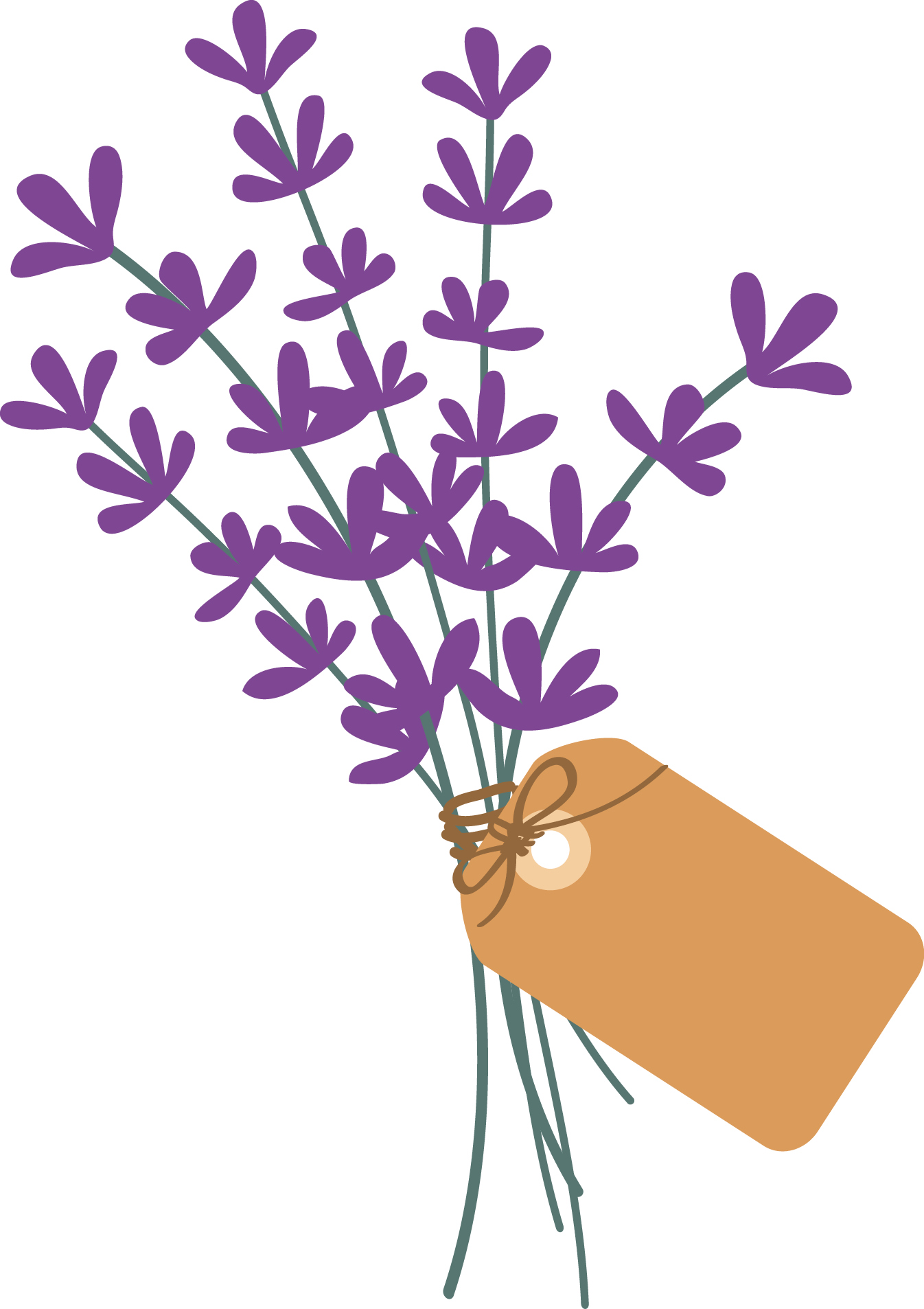 Lavender Bunch - Lavender (1346x1906), Png Download