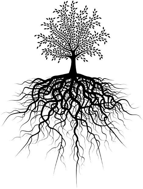 Simple Roots Png Tree Roots Png - Transparent Tree Of Life - Free Transparent PNG ...