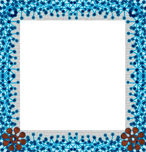 Flower Frame Png Transparent Image - Picture Frame (500x520), Png Download