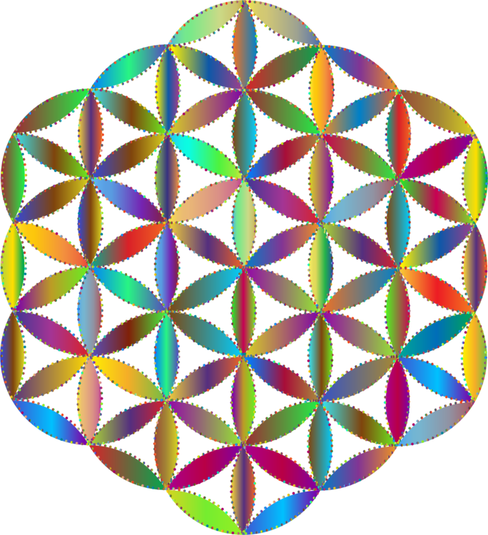 Overlapping Circles Grid Sacred Geometry Symbol Ornament - Flower Of Life Sticker Kopen (684x750), Png Download
