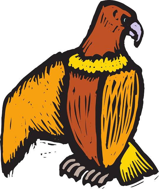 Original Png Clip Art File Scratch Off Eagle Art Svg (504x599), Png Download