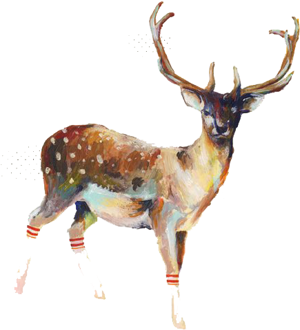 ♀ - Illustration Deer (499x497), Png Download