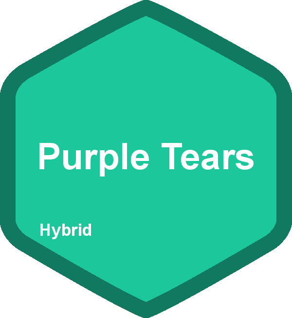 Purple Is A Fruit (600x654), Png Download