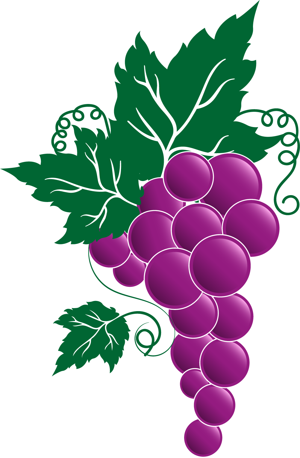 Grape Png Transparent Free Images - Transparent Grape Vine Clipart (1002x1528), Png Download