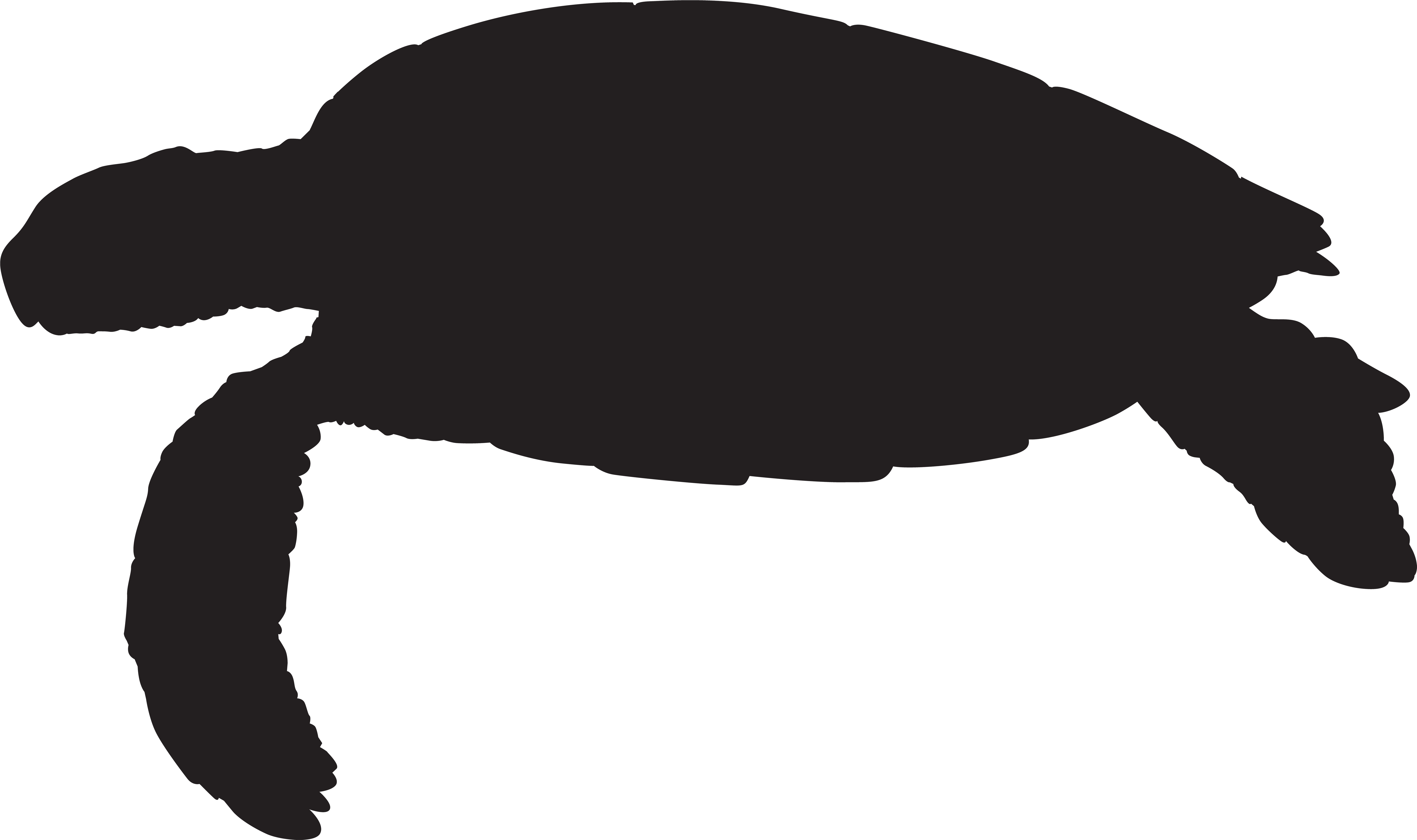 Png Clip Art Image Gallery Yopriceville View - Silhouette Of A Sea Turtle (8000x4756), Png Download