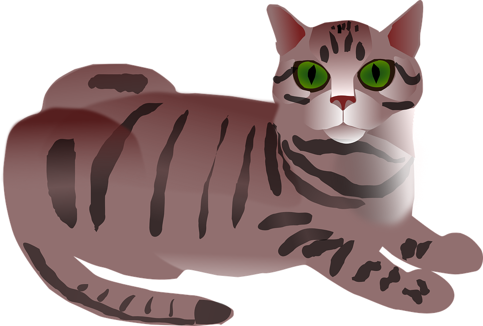 Calico Cat Kitten Tabby Cat Clip Art - Tabby Cat Clipart (960x649), Png Download